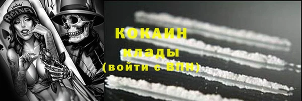 крисы Слюдянка