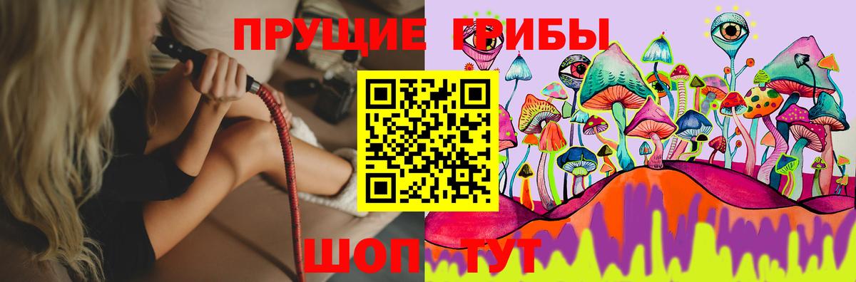 Еманжелинск  Псилоцибиновые грибы Psilocybe  Вход с VPN 