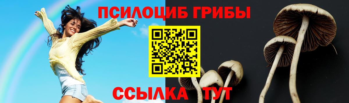 Галлюциногенные грибы мухоморы Еманжелинск